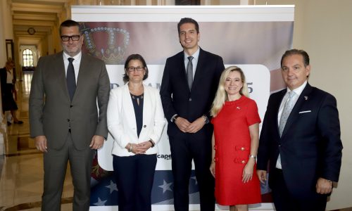 6 dan amerike skupstina (69)