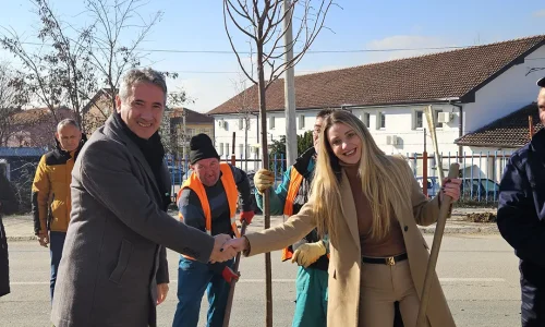 Novi drvored za Vranje 2