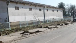 Novi drvored za Vranje