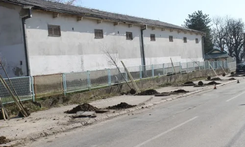 Novi drvored za Vranje